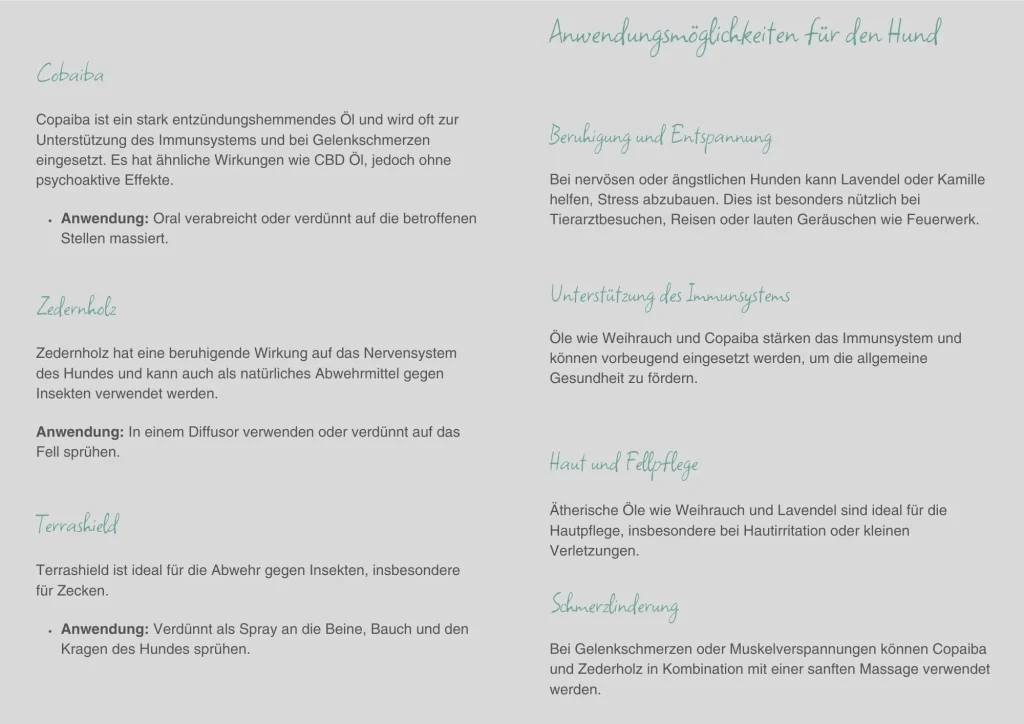 Hunde4