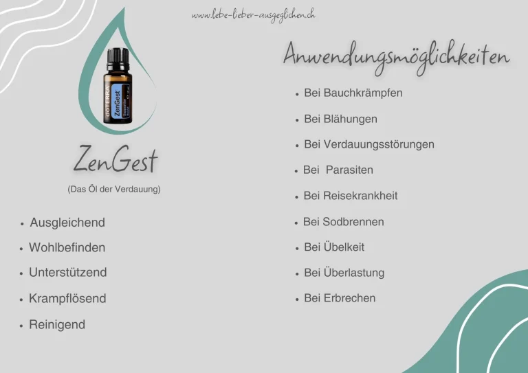 ZenGest 1