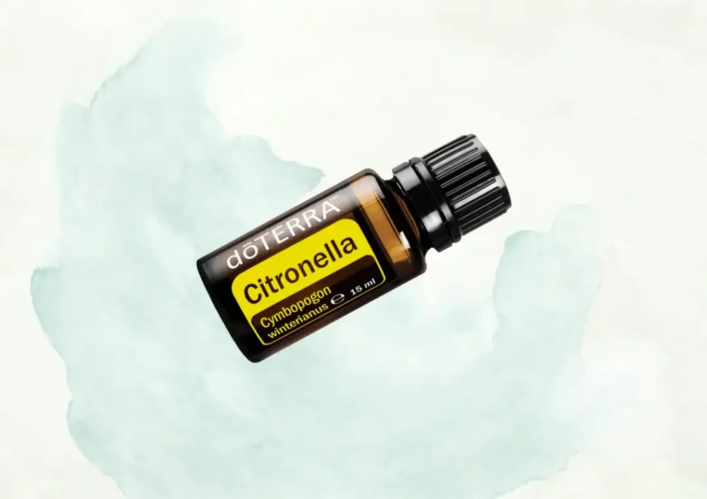 Citronella website optimiert